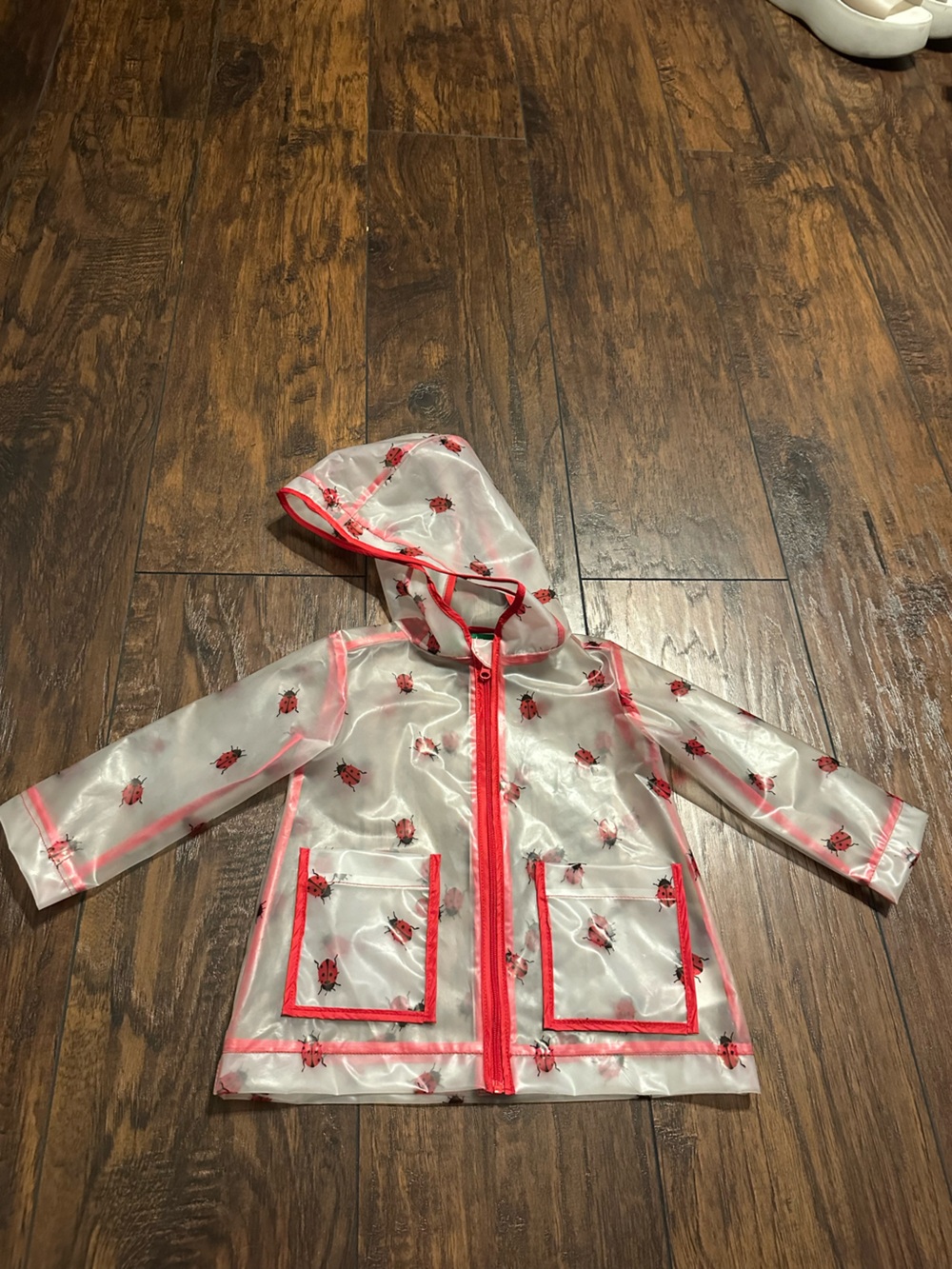 dip Clear Kids Raincoat with Red Ladybug Trim and Hood